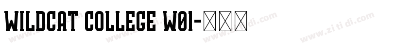 Wildcat College W01字体转换